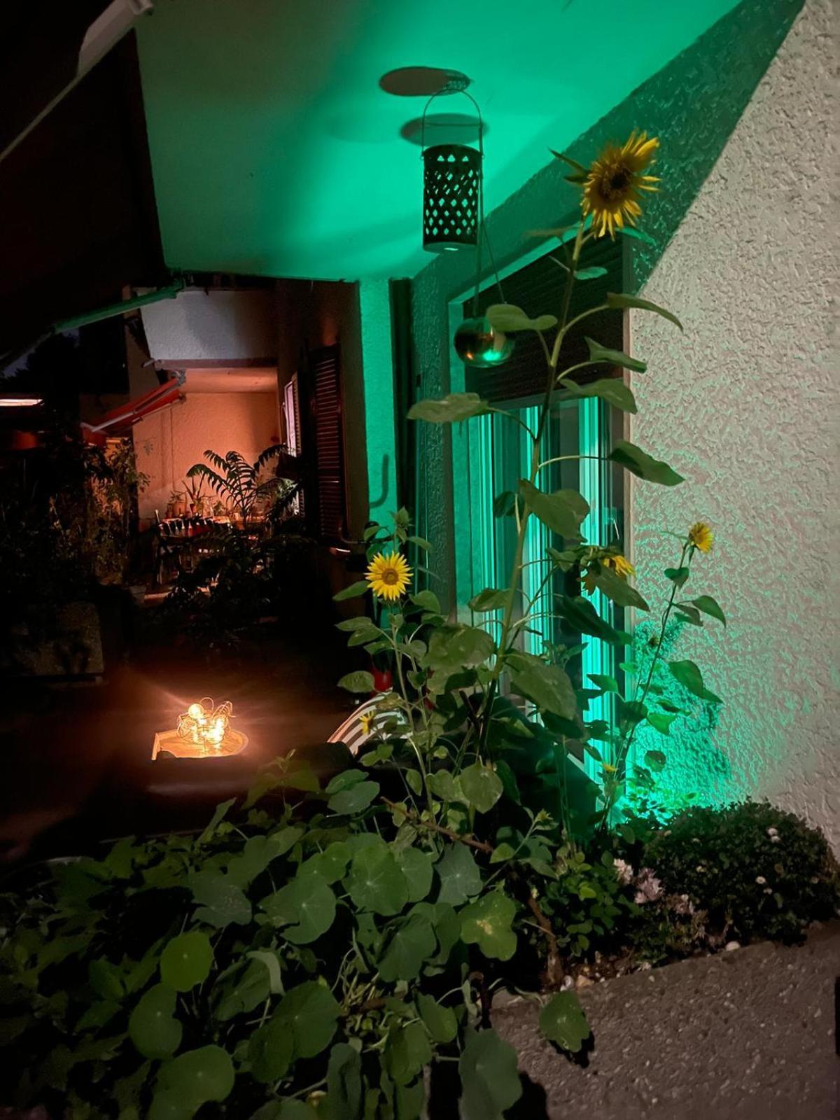 Apartamento Bellezza In Lorraine Berna Exterior foto